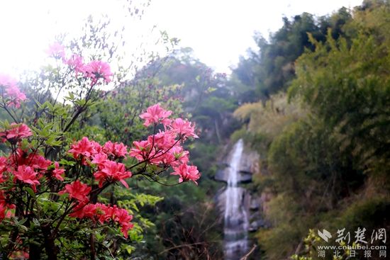 黃龍山頂，風(fēng)景如畫 黃錚 攝_副本.jpg.jpg